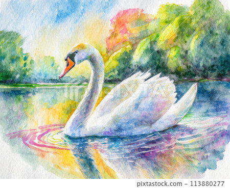 水彩畫天鵝的插圖 113880277