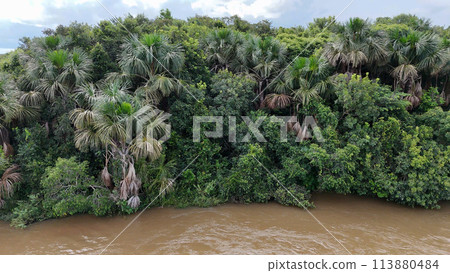 Aerial image of the apore river 113880484