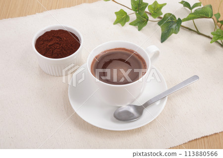 Delicious looking cocoa Delicious looking cocoa 113880566