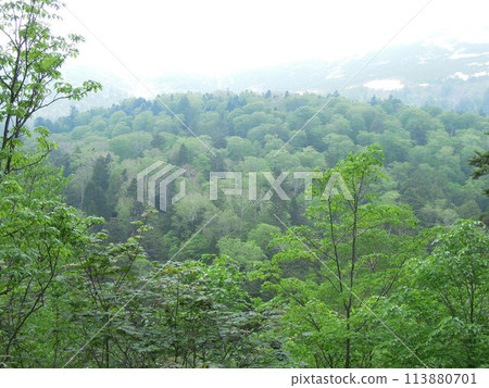 尾瀨六月 尾瀨六月 113880701