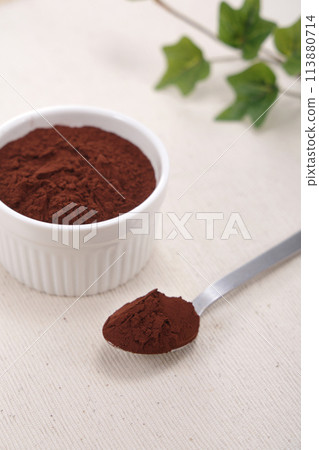 cocoa powder cocoa powder 113880714