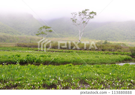 尾澤原六月 尾澤原六月 113880888