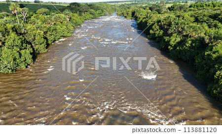 apore river with brown water and riparian forest during the day apore river with brown water and riparian forest during the day 113881120