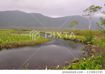 Ozehara June 113881330