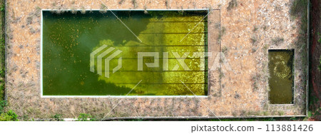 abandoned swimming pool with green dirty water 113881426