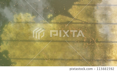 abandoned swimming pool with green dirty water 113881592