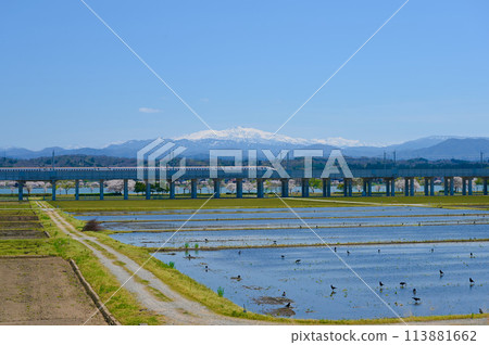白山殘雪、小松市北陸新幹線木袋形櫻花 白山殘雪、小松市北陸新幹線木袋形櫻花 113881662