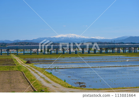 白山木袋形櫻花 北陸新幹線 小松市 白山木袋形櫻花 北陸新幹線 小松市 113881664