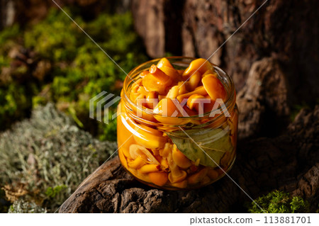 Homemade pickled honey mushrooms in a glass jar. 113881701