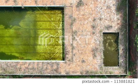 abandoned swimming pool with green dirty water 113881821