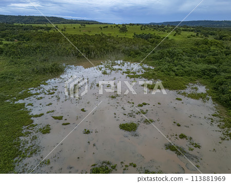 Small Swamp in Itaja Goias 113881969