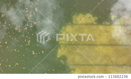 abandoned swimming pool with green dirty water 113882236