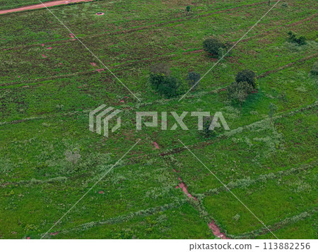 pasture area with contour lines in field pasture area with contour lines in field 113882256