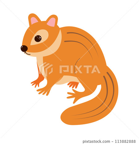 Cute chipmunk. Cartoon forest animal. Vector illustration. 113882888