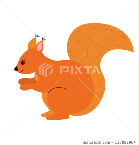Cute squirrel. Cartoon forest animal. Vector illustration. 113882904