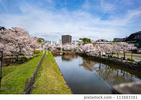小田原風景 櫻花盛開的小田原城風景 小田原風景 櫻花盛開的小田原城風景 113883381