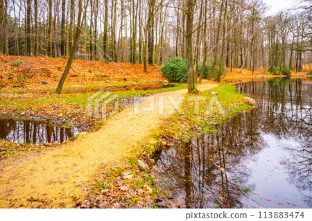 A serene path curves along the lakeside amid colorful autumn leaves in Rhododendron Park, Kromlau, Germany. A serene path curves along the lakeside amid colorful autumn leaves in Rhododendron Park, Kromlau, Germany. 113883474