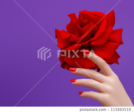Red manicured nails . Nail care . Beauty delicate Red manicured nails . Nail care . Beauty delicate 113883519