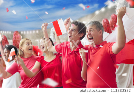 Poland football team supporter on stadium. 113883582