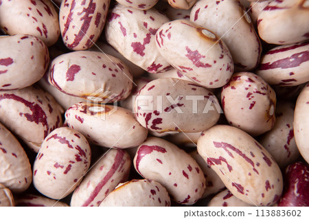 lots of pinto beans background 113883602