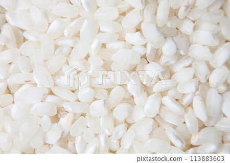 rice grains background rice grains background 113883603