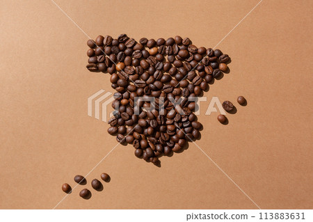 Map of Spain made with coffee beans 113883631