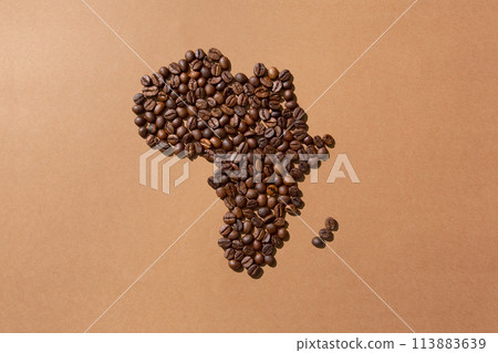 Map of Africa made with coffee beans 113883639