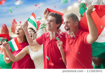 Hungary football team supporter on stadium. Hungary football team supporter on stadium. 113883641