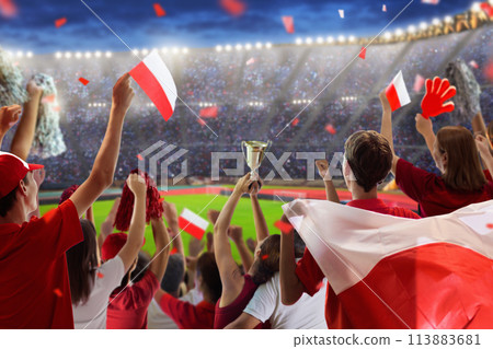 Poland football team supporter on stadium. 113883681