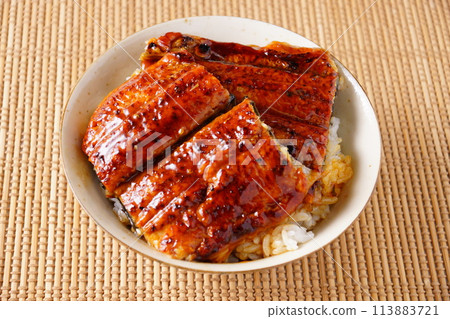 Unadon Japanese food 113883721