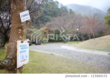 March 23, 2024: Tsushima Island Travel Monument to commemorate the marriage of Tokue-o, Princess Deokhye's Marriage Celebration Monument Kaneishi Castle Ruins Garden Tsushima Island, Nagasaki Prefectu 113884131