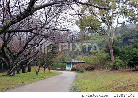 March 23, 2024: Tsushima Island Travel Monument to commemorate the marriage of Tokue-o, Princess Deokhye's Marriage Celebration Monument Kaneishi Castle Ruins Garden Tsushima Island, Nagasaki Prefectu March 23, 2024: Tsushima Island Travel Monument to commemorate the marriage of Tokue-o, Princess Deokhye's Marriage Celebration Monument Kaneishi Castle Ruins Garden Tsushima Island, Nagasaki Prefectu 113884142
