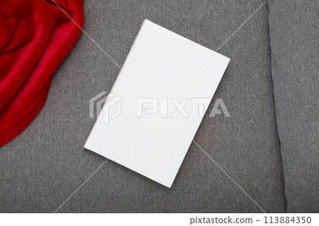 Book with blank cover and empty cover on a gray sofa 113884350