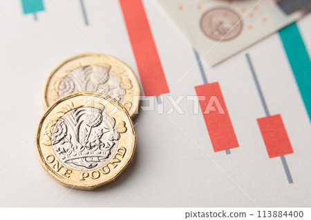 One pound coins 113884400
