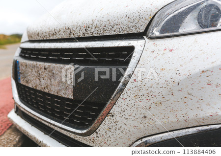 Insects crashed against a white car Insects crashed against a white car 113884406