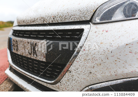 Insects crashed against a white car Insects crashed against a white car 113884409
