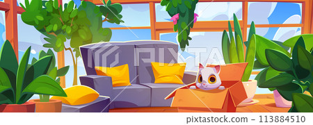 Box with cat in living room interior with window Box with cat in living room interior with window 113884510