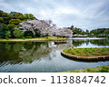 Yokohama scenery: Spring at Sankeien 113884742