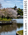 Yokohama scenery: Spring at Sankeien 113884805