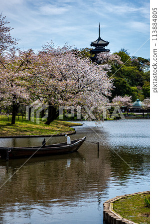 橫濱風景：三溪園的春天 113884805