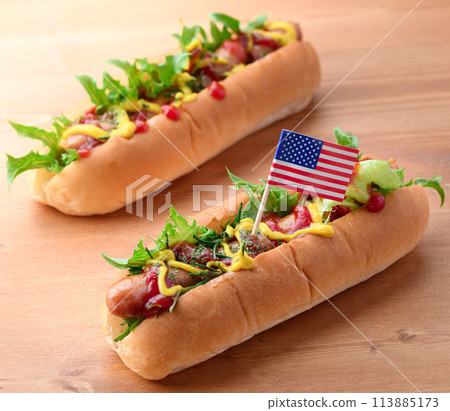 hot dog  113885173