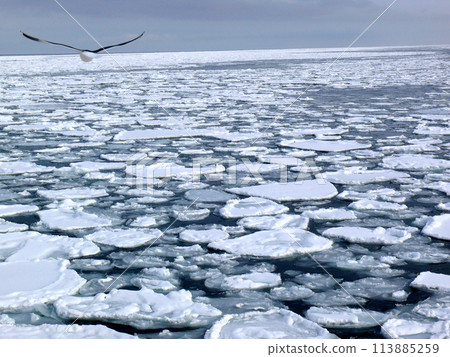 Abashiri's drift ice 113885259
