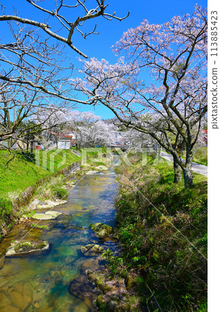 西口河櫻花瀧原拱石橋群 小松市 西口河櫻花瀧原拱石橋群 小松市 113885423
