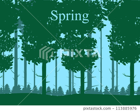 Spring forest landscape, green foliage, April, May month 113885976