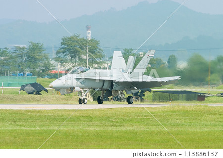 US Navy F/A-18C Hornet Landing US Navy F/A-18C Hornet Landing 113886137