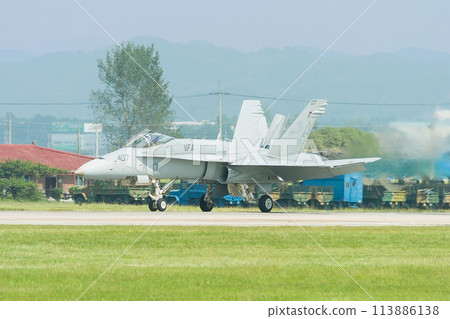 US Navy F/A-18C Hornet Landing 113886138