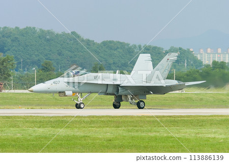 美國海軍 F/A-18C 大黃蜂著陸 113886139