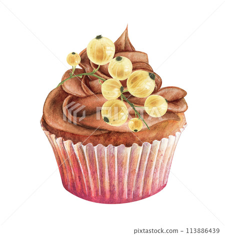Cupcake muffin currant watercolor drawing chocolate berry. Cake branch tasty dessert illustration. Birthday celebration pastry aquarelle picture isolated white background. Whipped butter cream dessert 113886439