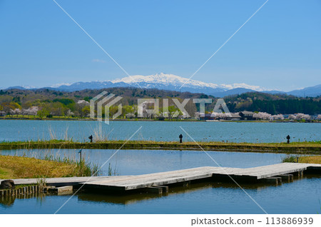 白山、木袋形櫻花 木袋形公園/水生植物園 小松市 白山、木袋形櫻花 木袋形公園/水生植物園 小松市 113886939