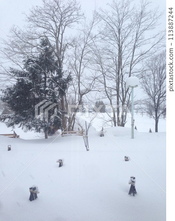 Hokkaido in winter 113887244